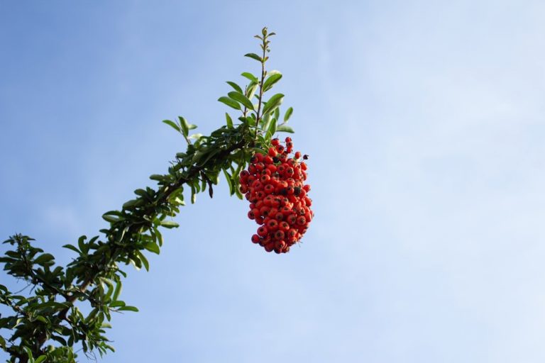 Bogatyrskij duh sokola art kvartaly muzei i maloljudnye marshruty 7b79776.jpg